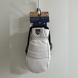 HESTRA Alpine Pro Fall Line Mitten